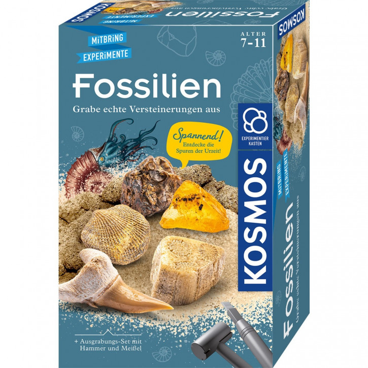 MBE Fossilien