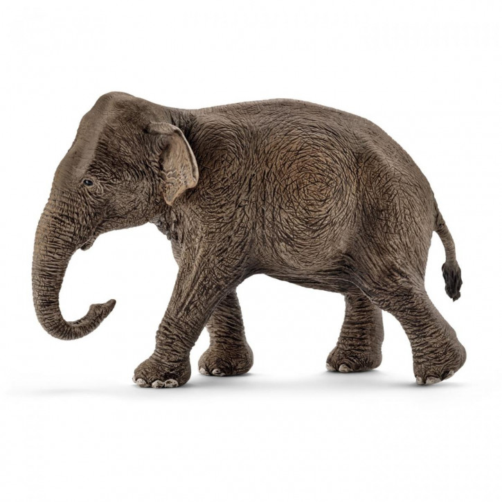 Schleich 14753 Asiatische Elefantenkuh
