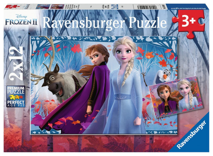 Ravensburger Puzzle 2 X 12 Teile Reise ins Ungewisse