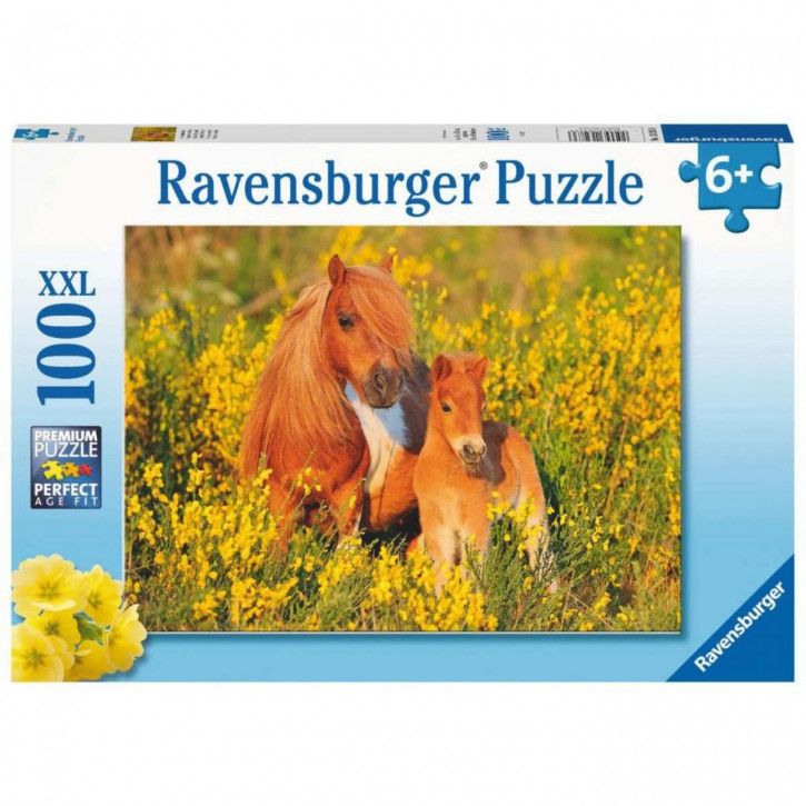 Ravensburger Puzzle 100 Teile XXL Shetlandponys